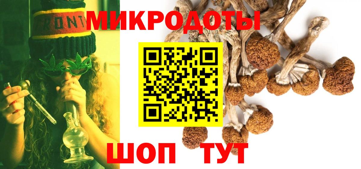 Псилоцибиновые грибы прущие грибы Старая Купавна