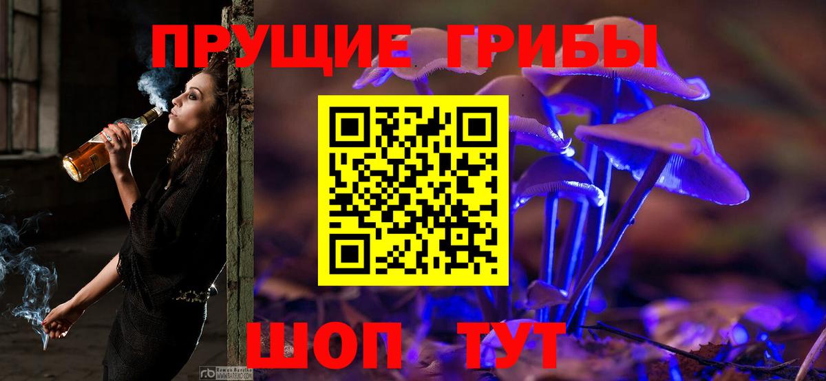 Старая Купавна  Галлюциногенные грибы Magic Shrooms  даркнет сайт  Галлюциногенные грибы Cubensis  Вход с VPN 